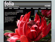 Tablet Screenshot of folia.com.au